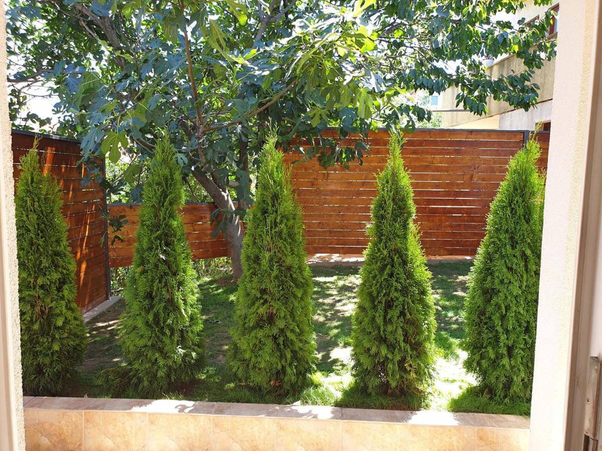 Kuca Ema Villa Belgrado Buitenkant foto